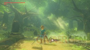 The Legend of Zelda Breath of The Wild images DLC (9)