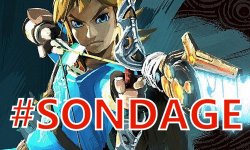 The Legend of Zelda Breath of the Wild sondage images (1)