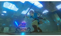 The Legend of Zelda Breath of Wild image