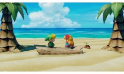 The Legend of Zelda Link's Awakening La Ballade du Poisson Rêve (Nintendo Switch)