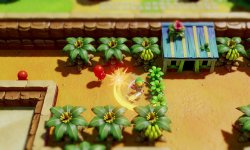 The Legend of Zelda Link’s Awakening Switch (10)