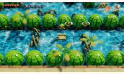 The Legend of Zelda Links Awakening 2019 06 11 19 007