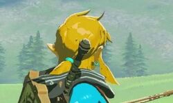 The Legend of Zelda Tears of the Kingdom 13 09 02 2023
