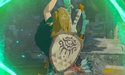 The Legend of Zelda Tears of the Kingdom 37 28 03 2023