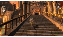 The Legend of Zelda Twilight Princess HD (15)
