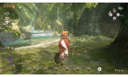 The Legend of Zelda Twilight Princess HD (8)