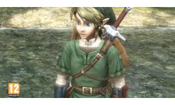 The Legend of Zelda Twilight Princess HD head