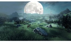 the legend of zelda wii u fan image