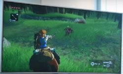 The Legend of Zelda Wii U head