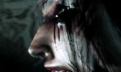 The Origin Blind Maid (14)