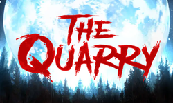 The Quarry head logo banner