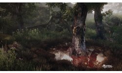 The Vanishing of Ethan Carter ScreenShot 04
