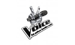 The Voice Logo