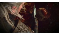 The Witcher 3 trailer E3 2014