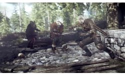 The Witcher 3 Wild Hunt 010
