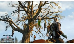 The Witcher 3 Wild Hunt 11 06 2019 screenshot Switch (8)