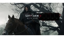 The Witcher 3 Wild Hunt 12 08 2013 compte à rebours
