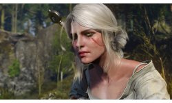 The Witcher 3 Wild Hunt 16.12.2014 (2)