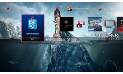 The Witcher 3 Wild Hunt (1)