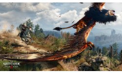 The Witcher 3 Wild Hunt 26.01.2015 (1)