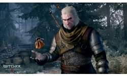 The Witcher 3 Wild Hunt 26.01.2015 (2)