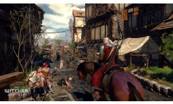 The Witcher 3 Wild Hunt 26.01.2015 (7)