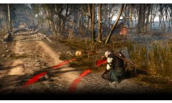 The Witcher 3 Wild Hunt 29 04 15 07