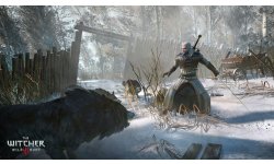 the witcher 3 wild hunt (2)