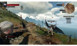 The Witcher 3 Wild Hunt (3)