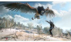 the witcher 3 wild hunt (4)
