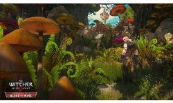 The Witcher 3 Wild Hunt Blood and Wine I think were not in Novigrad anymore RGB EN