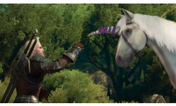 The Witcher 3 Wild Hunt Blood and Wine image screenshot 6