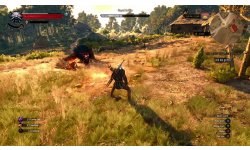 The Witcher 3 Wild Hunt image screenshot 2