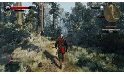 The Witcher 3 Wild Hunt image screenshot 3