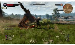The Witcher 3 Wild Hunt image screenshot 4