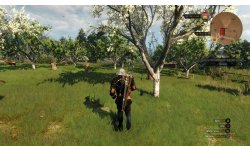 The Witcher 3 Wild Hunt image screenshot 4