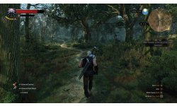 The Witcher 3 Wild Hunt image screenshot 8