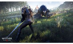 The Witcher 3 Wild Hunt Traque Sauvage 14 06 2014 screenshot 13