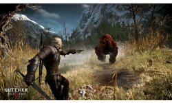 The Witcher 3 Wild Hunt Traque Sauvage 14 06 2014 screenshot 14