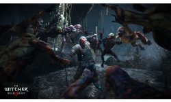 The Witcher 3 Wild Hunt Traque Sauvage 14 06 2014 screenshot 20