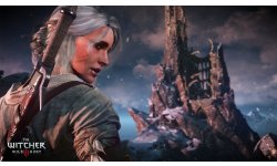 The Witcher 3 Wild Hunt Traque Sauvage 14 06 2014 screenshot 22