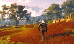 The Witcher III 3 008