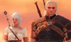 The Witcher Lost Ark (6)