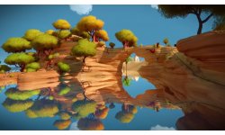 The Witness head