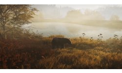 theHunter Call of the Wild Console Trailer
