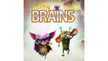 Tiny-Brains