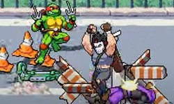 TMNT Teenage Mutant Ninja Turtles Shredder's Revenge Casey Jones head