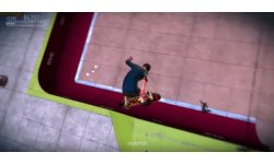 Tony Hawk's Pro Skater 5 head