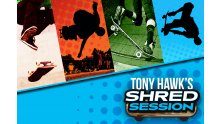 Tony-Hawk-Shred-Session_02-05-2014_logo