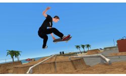tony hawk skate jam.